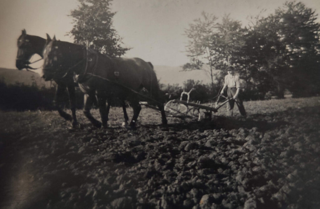 Bauer mit Pferd beim Pflügen